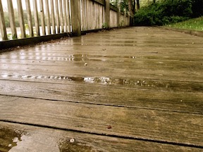 Rainy Boardwalk copy